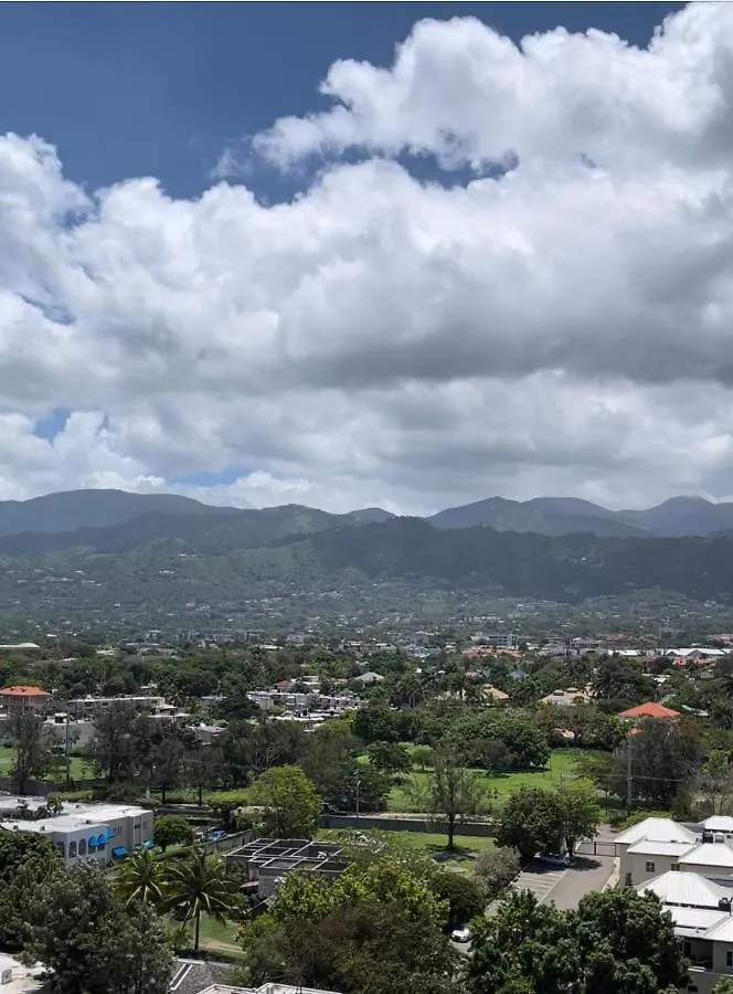 Hills View Suite @ Via Braemar Kingston Apartamento